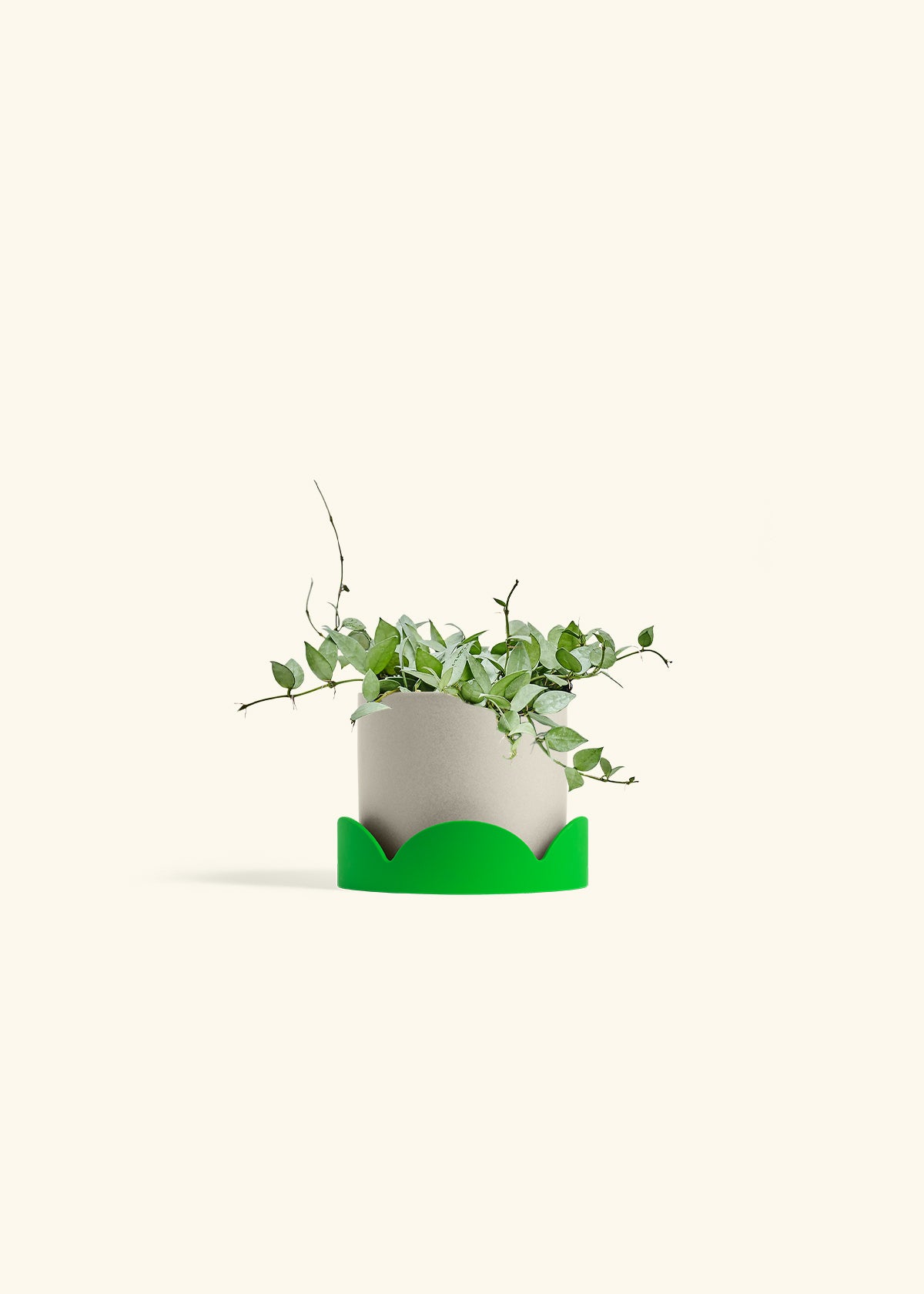 Product image 66